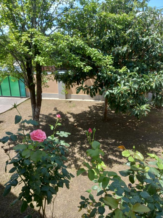 Tskaltubo Apartment Mirian Mepe 외부 사진